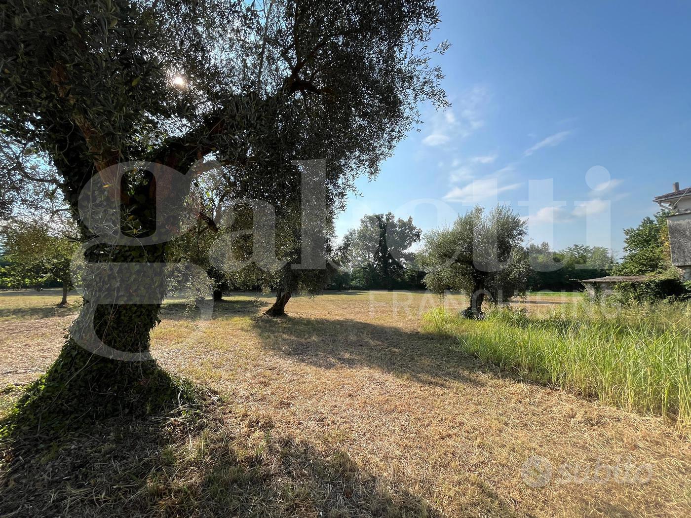 Terreno Agricolo Alife [Cod. rif 3325629VCG] - Vista 3