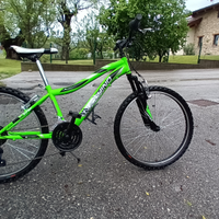 Mtb Lucchino 24"