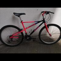 bici bianchi thomisus ragno