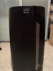 Climatizzatore Pinguino Pac Ex 130 Eco RealFeel