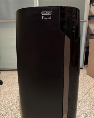 Climatizzatore Pinguino Pac Ex 130 Eco RealFeel