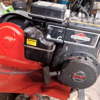 FRESA-BRIGGS E STRATON. -5 CAVALLI