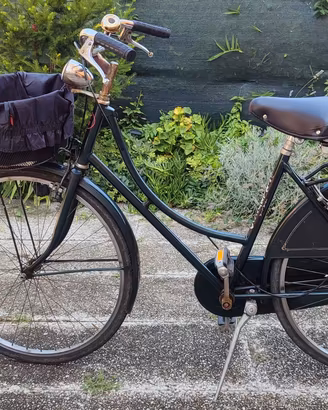 Bici tipo Holland donna