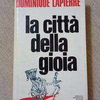 D. Lapierre, La città della gioia