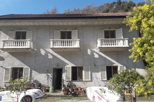 Immerso nella natura