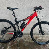 Mountain Bike freno a disco