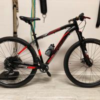 Mtb 29 vicini tg L