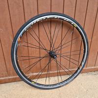 Ruota shimano 10v per rulli