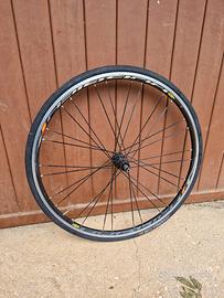 Ruota shimano 10v per rulli