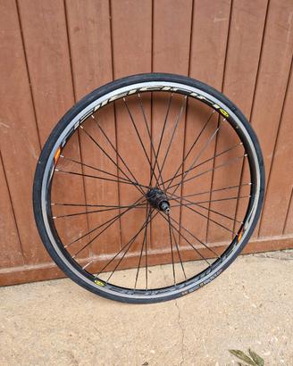 Ruota shimano 10v per rulli