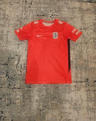 Maglia Nike Neymar Jr #10 Nike Mercurial 