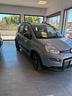 fiat-panda-1-0-firefly-s-s-hybrid-city-life