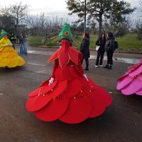 Vestiti vari di carnevale