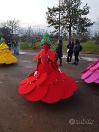Vestiti vari di carnevale