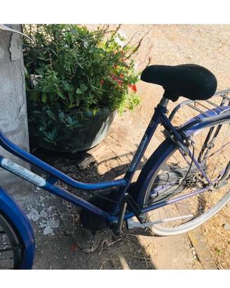 Bicicletta donna