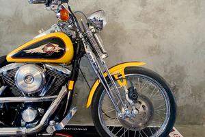 HD FXSTS-Springer Softail