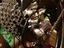 Immagine 4