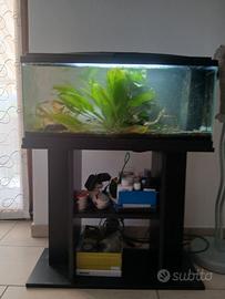Acquario Aqua Led ciano