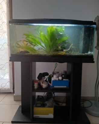 Acquario Aqua Led ciano