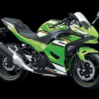 Kawasaki ninja 500 SE