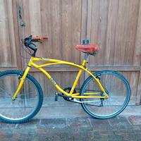 bici telaio america 
