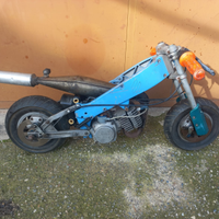 Minimoto polini