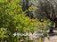 Immagine 27