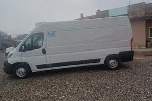 FIAT DUCATO FRIGO ANNO 2020