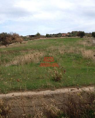 Misilmeri-terreno agricolo-cod.979