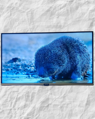Metz 2k TV 32"