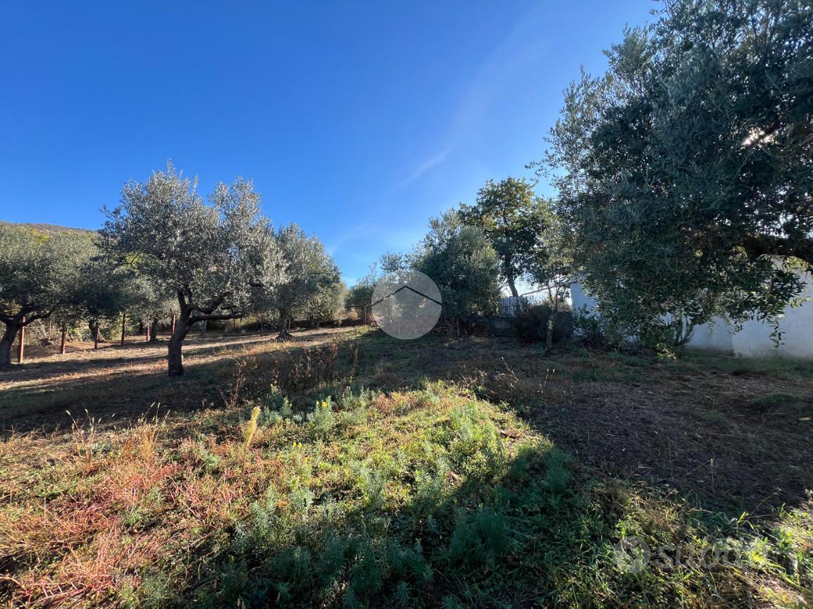 Terrain, 6170 m²