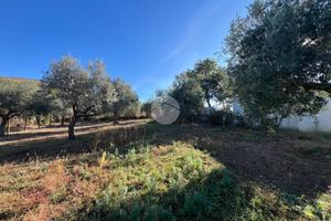 TER. AGRICOLO A TIVOLI