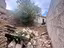Immagine 14