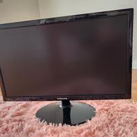 Monitor per pc