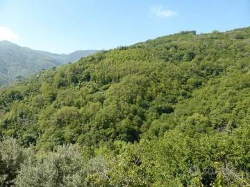 RGE 145/2012 Trib Patti - LOTTO 6