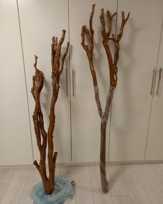 Tronchi di Lagerstroemia