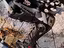 Immagine 3