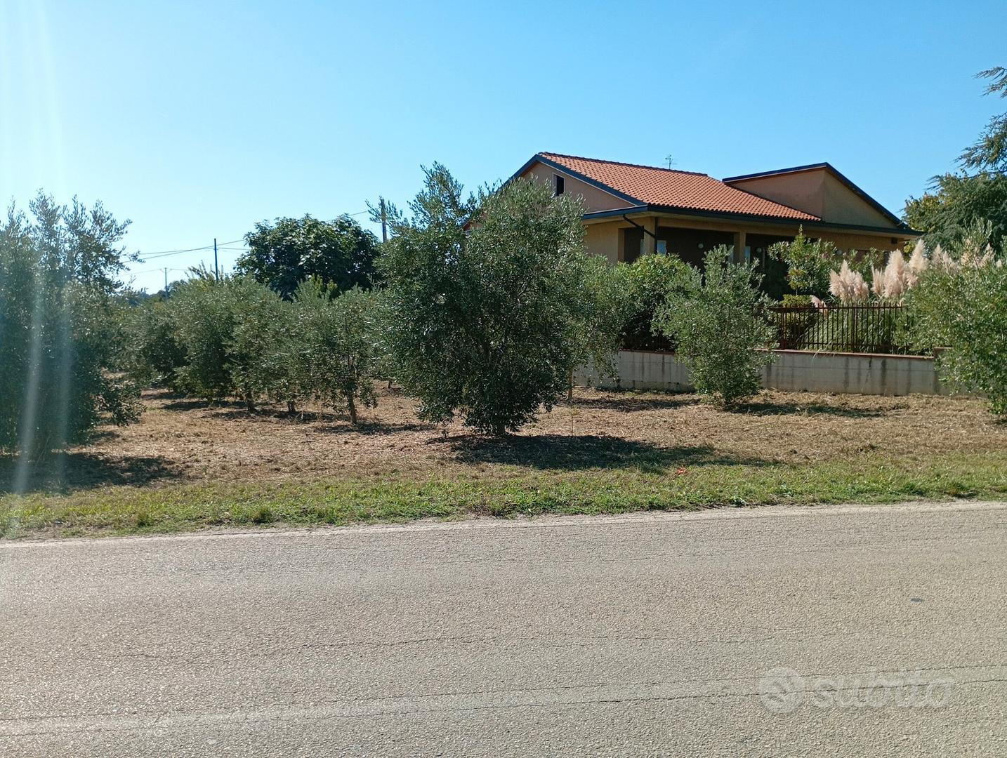 Lotto di terreno - Vista 2