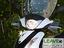 Immagine 10