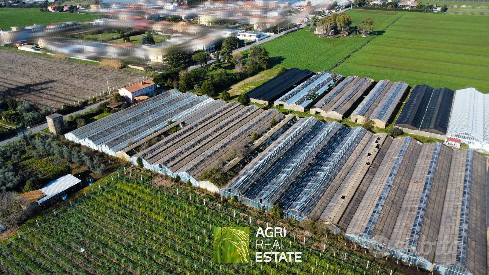 Azienda florovivaistica con casa ideale per eventi - Altro