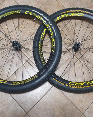 ruote mtb 29 carbon+evo 