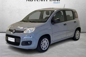 FIAT Panda 1.0 FireFly Hybrid 70cv City Life S&S