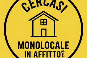 Appartamento, monolocale