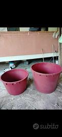 Tini per uva 230 e 350 litri