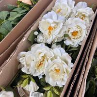Fiori finti