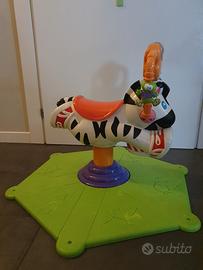 zebra saltella e gira