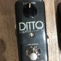 Ditto looper