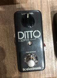 Ditto looper