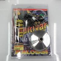 Variatore malossi multivar 2000 piaggio ciao si