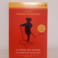 La presa del potere da parte di Luigi XIV